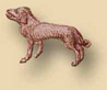 chien